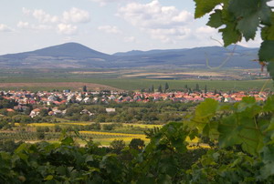 Kis-Benedek Pince