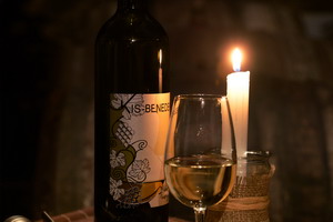 Kis-Benedek Pince