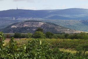 Kis-Benedek Pince